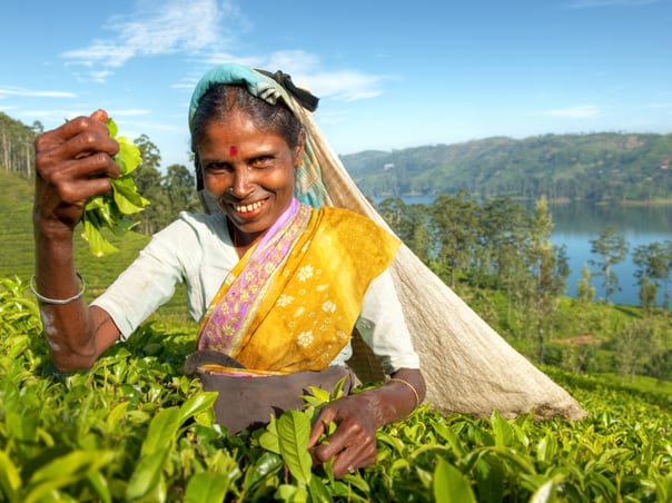 Abu Dhabi & Sri Lanka